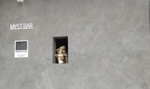 Menu Misterius Menjadi Daya Tarik Pembeli di Myst Bar