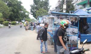 Pasar Ikan Muara, Surga Bagi Pencinta Ikan Hias