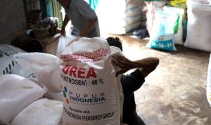 Subsidi Pupuk Dinilai Tidak Efektif, Diusulkan untuk Dihapus