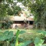 Dijuluki 'Rumah Seni' Hingga 'Villa Berdarah', Inilah Fakta Menarik Roemah Tjimanggis
