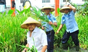 Setnov Kembali Gegerkan Publik Setnov Kembali Gegerkan Publik