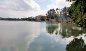Situ Rawa Kalong Depok Ditargetkan April 2022 Rampung Pemandangan di Situ Rawa Kalong yang akan menjadi destinasi wisata. Foto: Haris Samsuddin, Jabar Ekspres