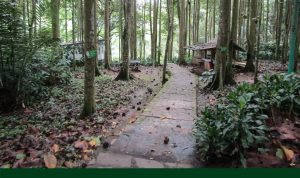 Pegawai Positif Covid-19, Tahura Djuanda Tutup