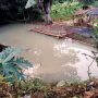 Nahas! Banjir Terjang Daerah Cipayung, Isi 5 Tambak Ikan Milik Ferdinan Amblas