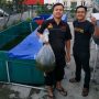Melawan PHK dengan Berwirausaha Ternak Lele