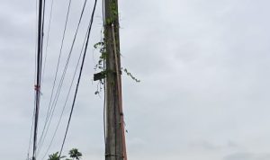 PLN Laksanakan Pemeliharaan Tiang Listrik di Beberapa Titik Lokasi di Kabupaten Bandung