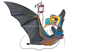 Epidemiolog Unand Peringatkan Ancaman Virus Nipah