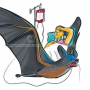 Epidemiolog Unand Peringatkan Ancaman Virus Nipah