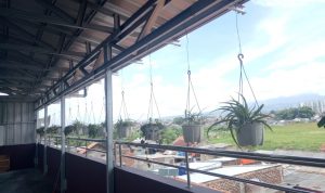 Setelah Renovasi, Pemandangan di Masjid Ini Jadi Lebih "Aesthetic", Lihat Fotonya