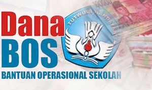 Peduli Literasi, Pemerintah Tidak Batasi Dana BOS untuk Buku