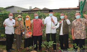 Pemkot Bekasi Apresiasi Budidaya Maggot sebagai Usaha Ekonomi Kreatif Pemkot Bekasi Apresiasi Budidaya Maggot sebagai Usaha Ekonomi Kreatif