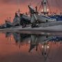 Tips Mendapatkan Foto Epic ala Fotografer dan Kreator Konten dengan Samsung Galaxy S21 Ultra 5G