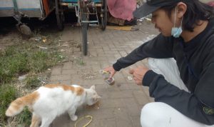 Luar Biasa! Feed Not Bomb Cimahi Hampir Setahun Sudah Berjalan, Bentuk Gerakan Menyejahterakan Hewan Liar
