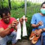 Modus Baru, Kurir Sembunyikan Sabu Dalam Sandal