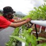 Ilustrasi Petani Milenial di Kota Bandung.