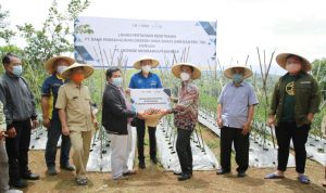 Petani dan Usaha Kecil Bisa Dapat Pinjaman Hingga 500 Juta Petani dan Usaha Kecil Bisa Dapat Pinjaman Hingga 500 Juta
