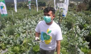 Sempat Tertunda, Ridwan Kamil Resmikan Program Petani Milenial di KBB