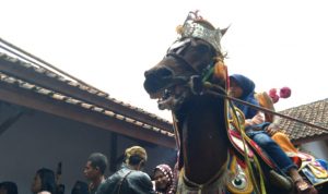 Kudaku Lama Tak Menari Akibat Pandemi