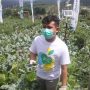 Jokowi Dukung Program Kementan untuk Cetak 2.000 Petani Milenial