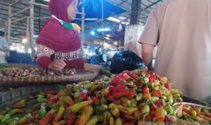 Pedas Menggigit, Harga Cabai Rawit Domba Kini Melejit Pedas Menggigit, Harga Cabai Rawit Domba Kini Melejit