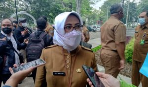 Harga Cabai Disinyalir Normal Pada Awal April Harga Cabai Disinyalir Normal Pada Awal April