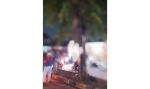 Seorang Pria Tewas Gantung Diri di Pohon Pinggir Jalan