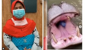 Pelaku Buang Botol Plastik ke Mulut Kuda Nil Meminta Maaf: Saya Nggak Sengaja Pelaku Buang Botol Plastik ke Mulut Kuda Nil Meminta Maaf: Saya Nggak Sengaja