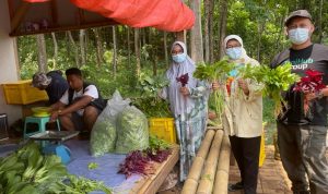 Istri Bupati Bandung Terpilih Dorong Kaum Milenial Desa Berkebun Sayur Organik Istri Bupati Bandung Terpilih Dorong Kaum Milenial Desa Berkebun Sayur Organik