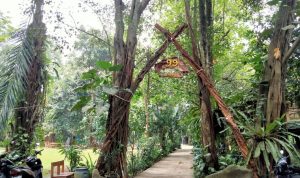 Menguak Filosofi Kampung 99 Pepohonan di Depok