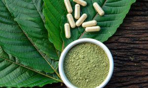 Ilustrasi Olahan Daun Kratom