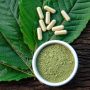 Ilustrasi Olahan Daun Kratom