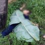 Temuan sosok mayat di area kebun jagung di desa nagreg