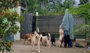 Islam Memperbolehkan Memelihara Anjing, Asalkan....
