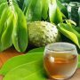 Cara Mudah Obati Asam Urat? Gunakan Rebusan Daun Sirsak