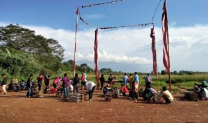 Lomba Unik Merpati Kolom, Adu Kemampuan Terbang Merpati Lewati Arena Kolongan