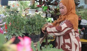 Kisah Hj. Siti Rohmah, Penjual Bunga Hias di Majalaya Beromzet Ratusan Juta