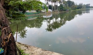 Pesona Alam Situ Jatijajar Siap Buat Pengunjung Terlena Pesona Alam Situ Jatijajar Siap Buat Pengunjung Terlena