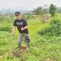 Tectona Peduli Lingkungan Lakukan Gerakan Penanaman Ratusan Pohon
