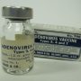 Vaksin Adenovirus Dipercaya Mampu Beri Perlindungan Tubuh dari Covid-19 hingga 2 Tahun