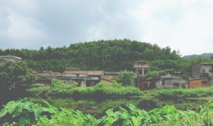 Lahan Kering Primer di Jabar Merosot 300 Ha Per Tahun