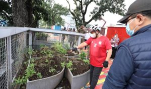 Wakil Walikota Bandung Lakukan Bersih-Bersih di Teras Cihampelas Wakil Walikota Bandung Lakukan Bersih-Bersih di Teras Cihampelas