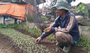 Asik, Petani di Jawa Barat Bakal Punya Dana Pensiun