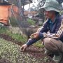 Asik, Petani di Jawa Barat Bakal Punya Dana Pensiun