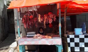 Sidak di Kabupaten Bandung Kurang Intensif, Kasus Daging Celeng Merebak, Kadis Pertanian: Bila Perlu Rahasia