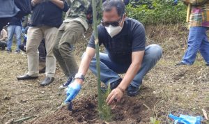 Penanaman 5000 Pohon di Kawasan Hutan Lembang Penanaman 5000 Pohon di Kawasan Hutan Lembang
