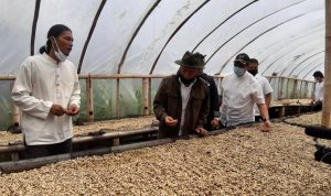 Kabupaten Bandung Dipersiapkan Jadi Pusat Bisnis Kopi Arabika, Ini Alasannya