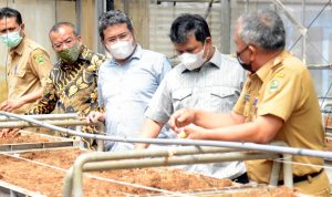 Komisi II : Pembatasan Produksi Benih Kentang, Dapat Mengancam Penurunan PAD