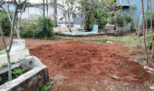 Viral Babi Ngepet di Depok Berhasil Ditangkap Warga,Ternyata Ini Faktanya