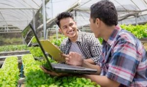 Profesi Petani Terancam Punah, Berikut Strategi Bisnis untuk Menarik Milenial Jadi Petani Sukses