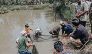 Pemkab Ciamis Siapkan Anggaran Untuk Pembudidaya Ikan